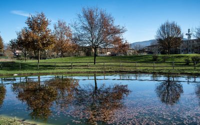 PARCO della MISERICORDIA